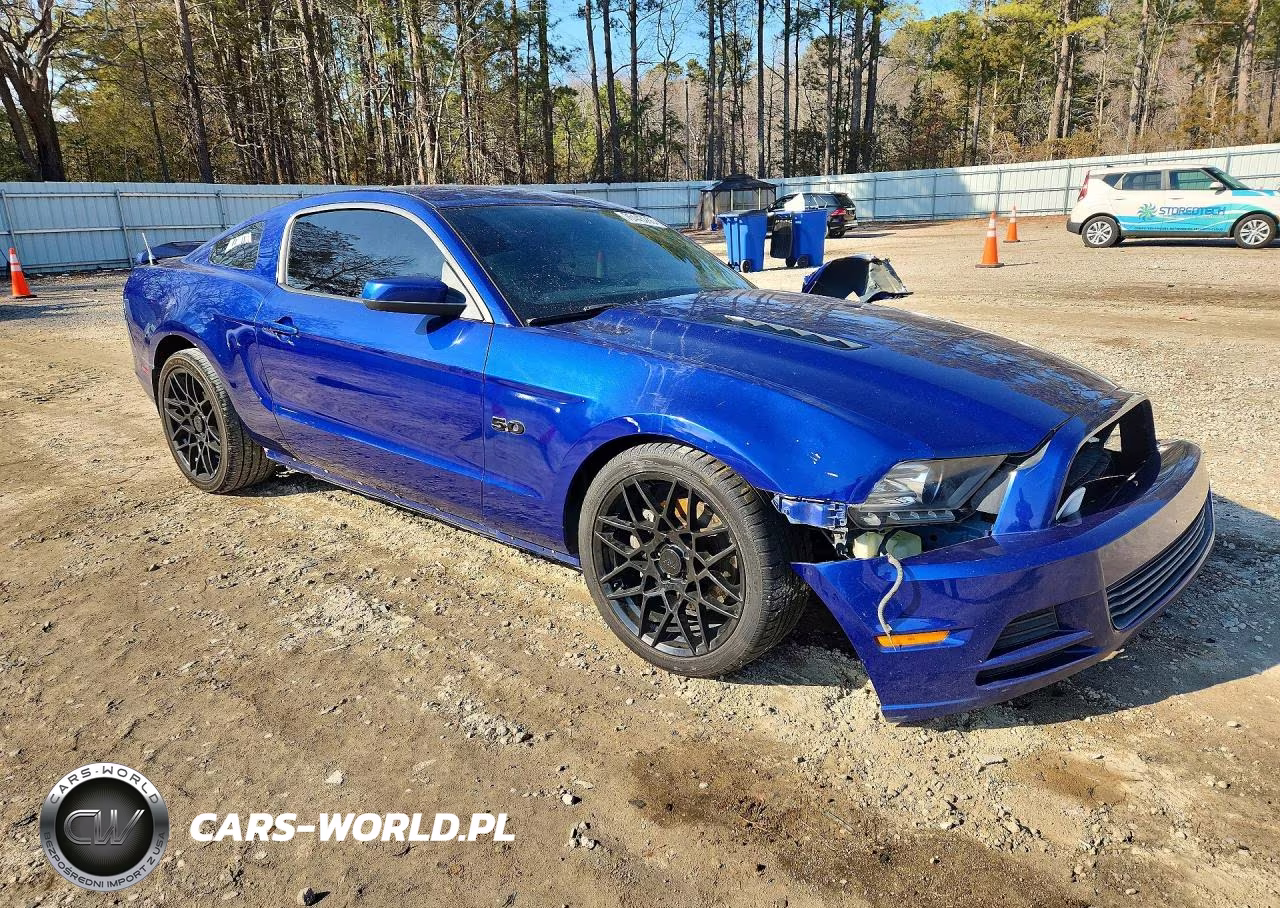 2014 Ford Mustang Gt VIN:1ZVBP8CF8E5310049 - 4