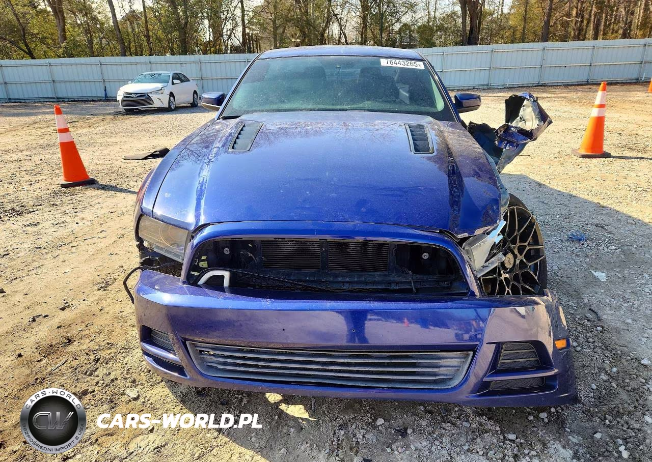 2014 Ford Mustang Gt VIN:1ZVBP8CF8E5310049 - 5