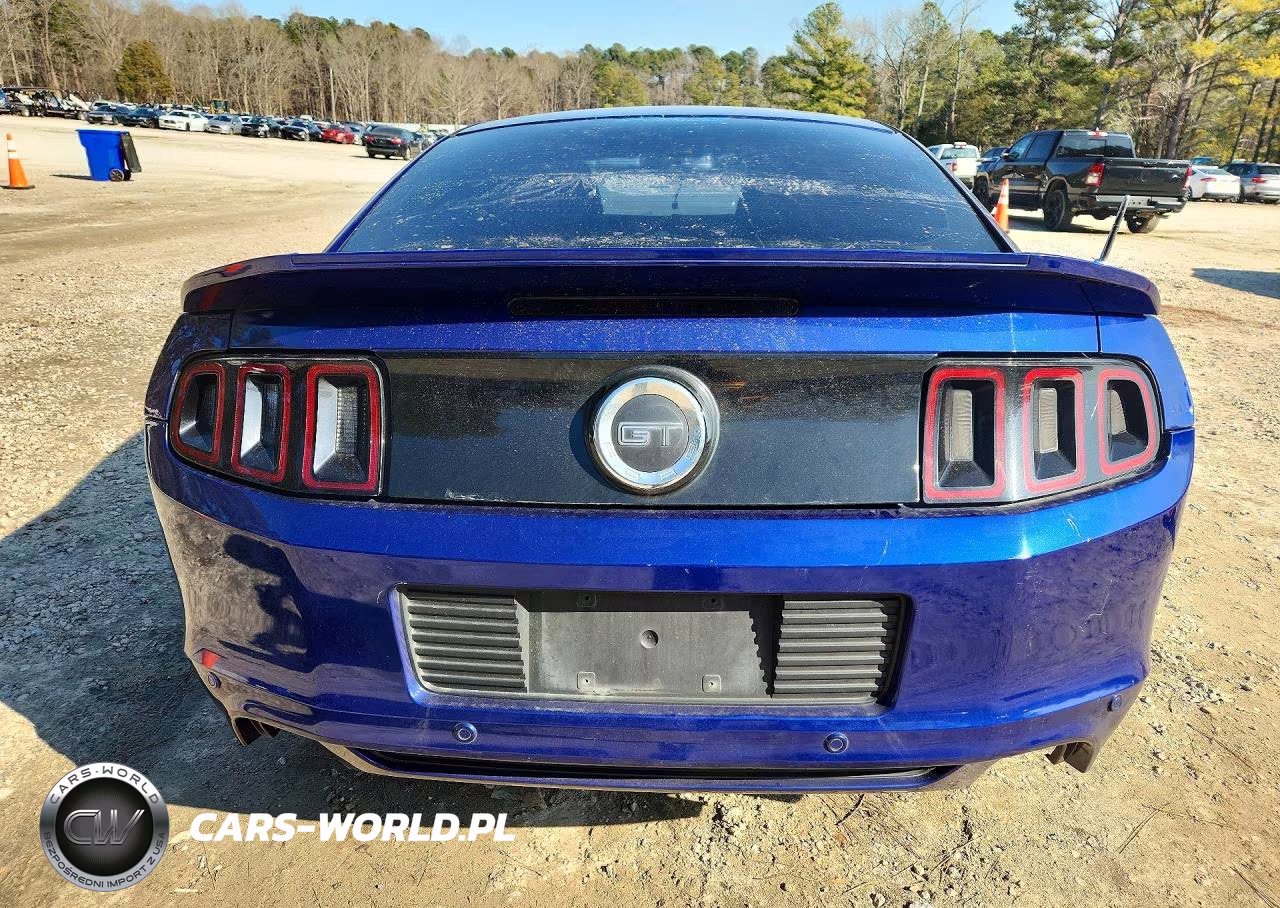 2014 Ford Mustang Gt VIN:1ZVBP8CF8E5310049 - 6