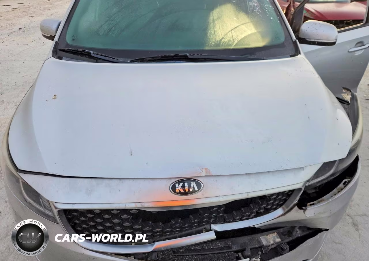 2016 Kia Sedona Lx VIN:KNDMB5C18G6212391 - 12