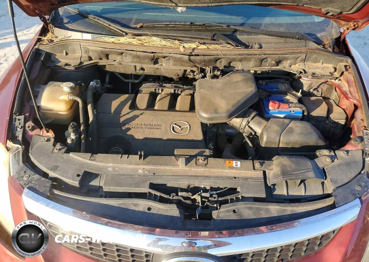 2009 Mazda Cx-9 VIN:JM3TB28A990175688 - 12