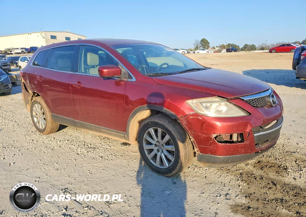 2009 Mazda Cx-9 VIN:JM3TB28A990175688 - 4