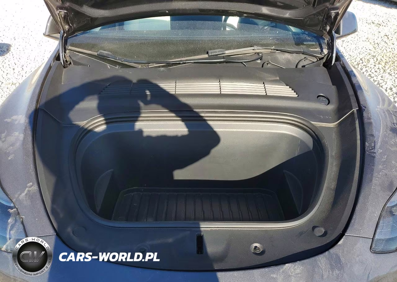 2023 Tesla Model Y VIN:7SAYGAEE9PF847669 - 11