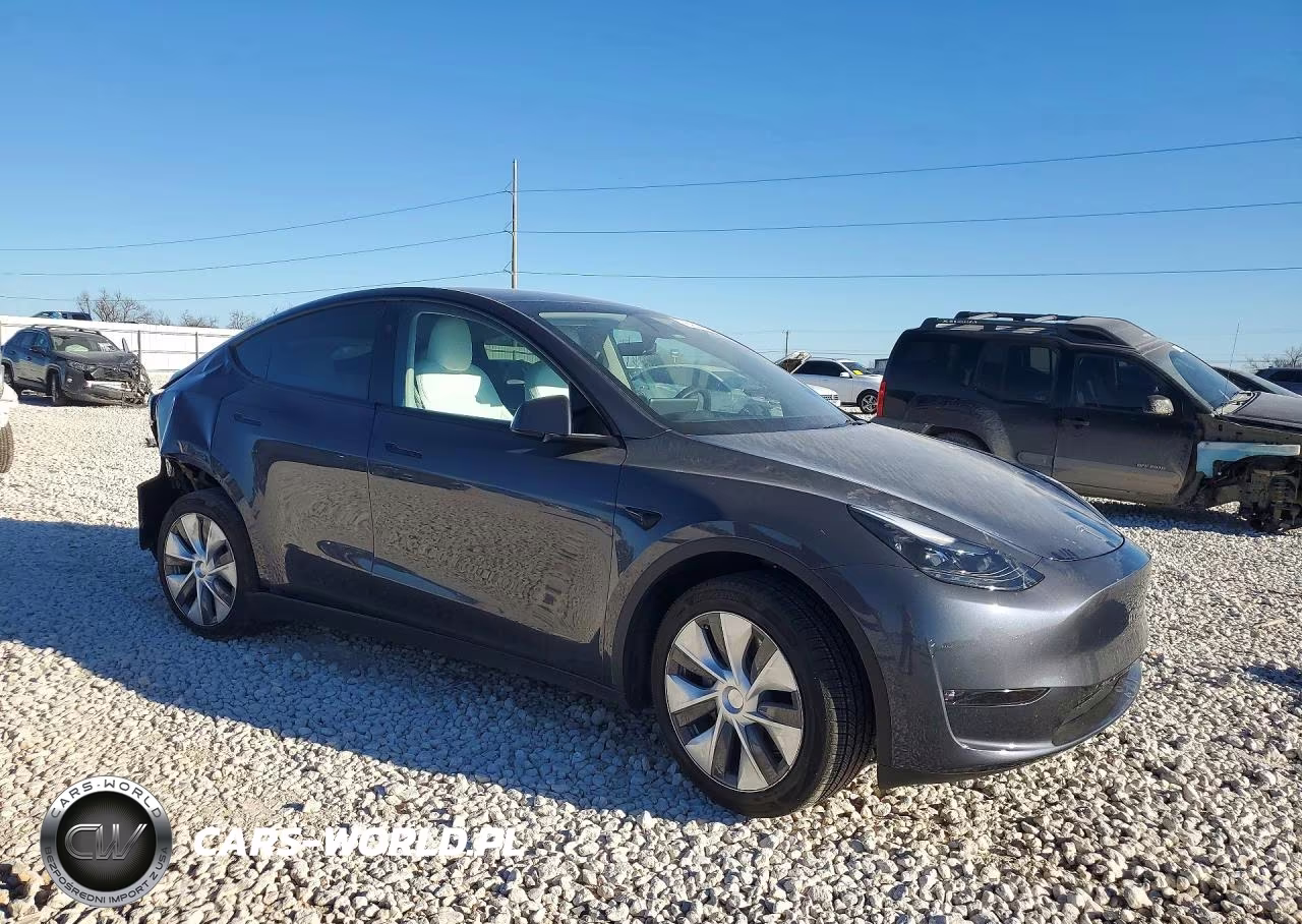 2023 Tesla Model Y VIN:7SAYGAEE9PF847669 - 4