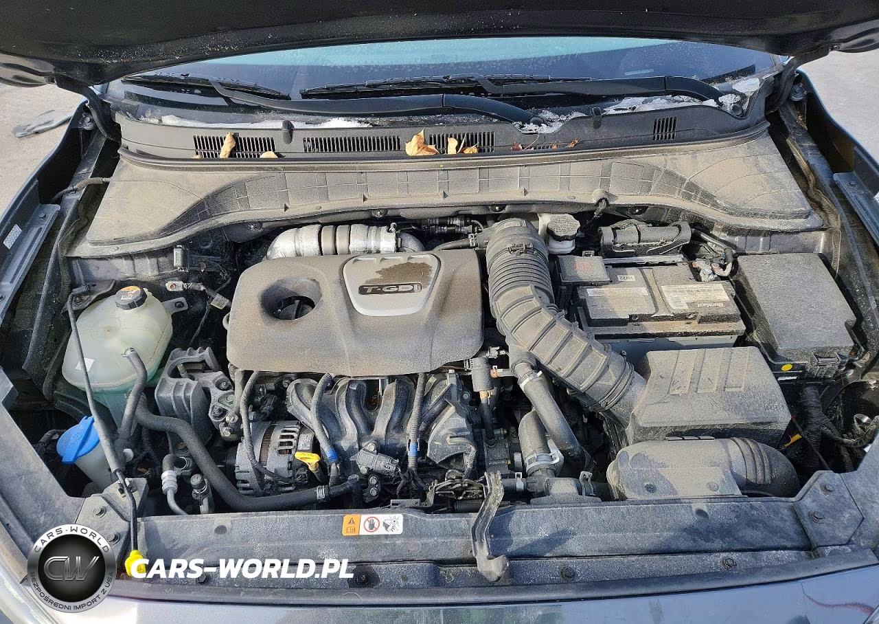 2020 Hyundai Kona Limited VIN:KM8K33A52LU434134 - 11