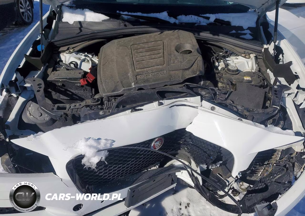2019 Jaguar F-Pace Premium VIN:SADCJ2FXXKA610919 - 12