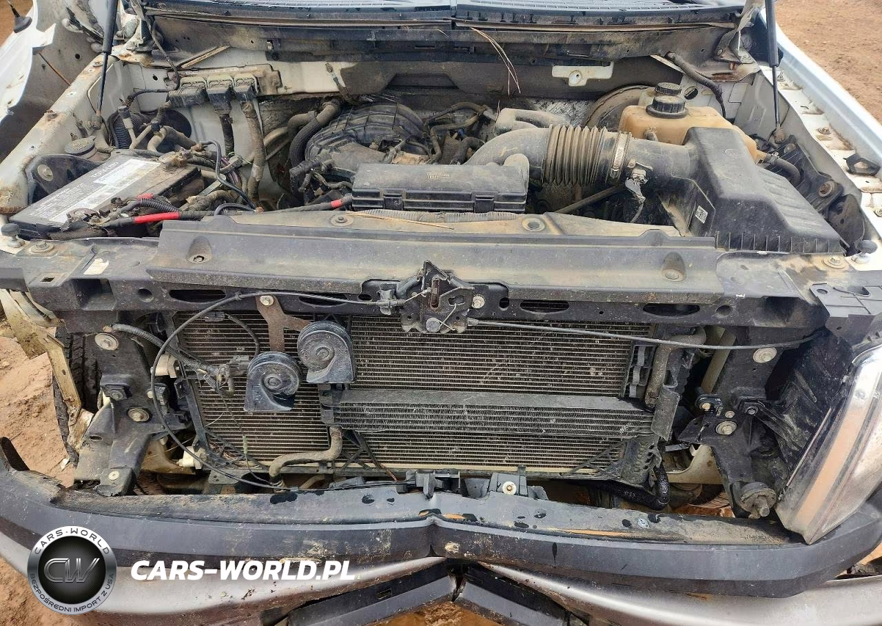 2012 Ford F150 VIN:1FTMF1CM2CKD64806 - 11