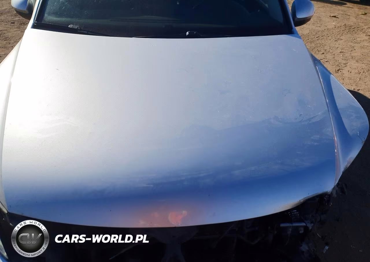 2014 Volkswagen Tiguan S VIN:WVGBV3AXXEW528412 - 11
