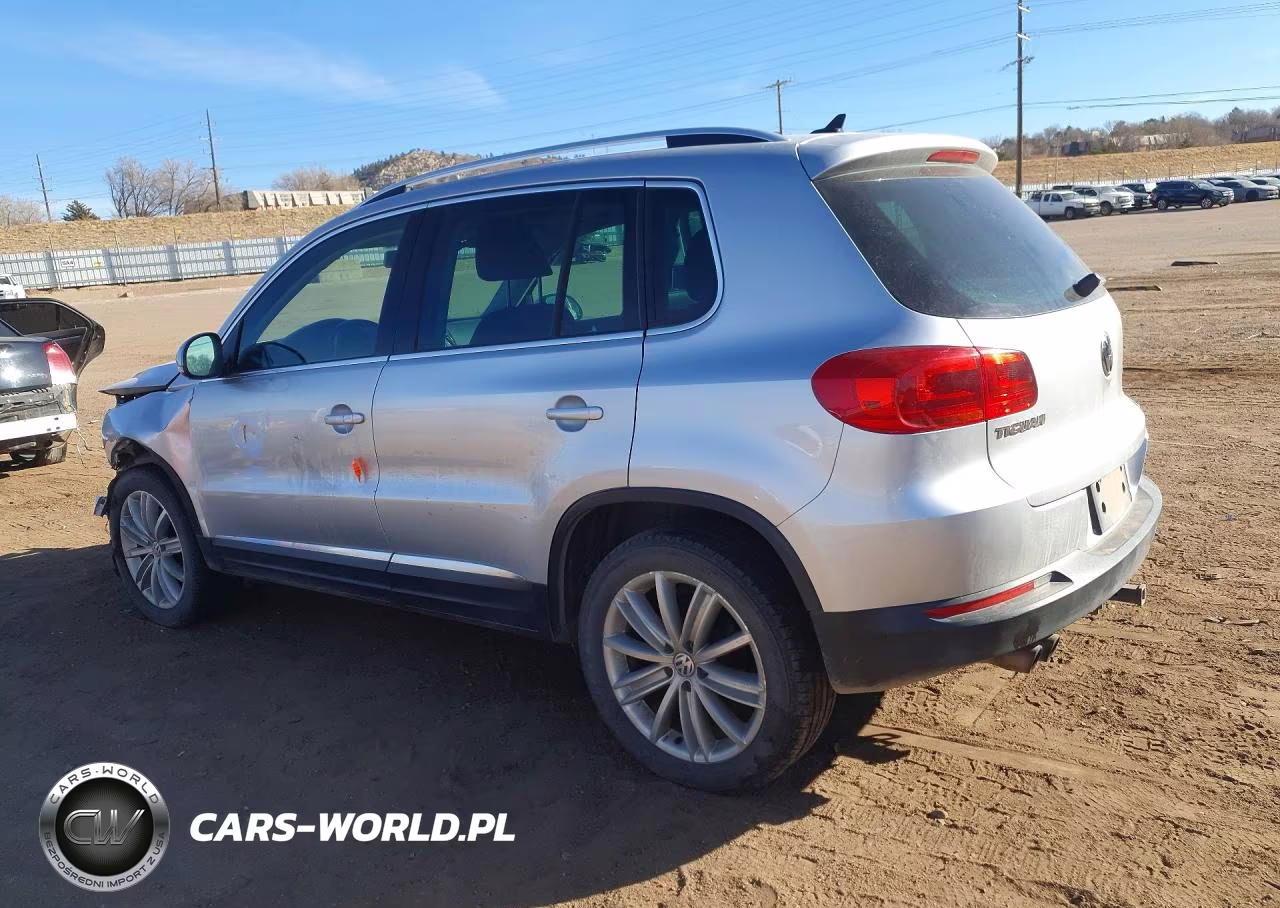 2014 Volkswagen Tiguan S VIN:WVGBV3AXXEW528412 - 2