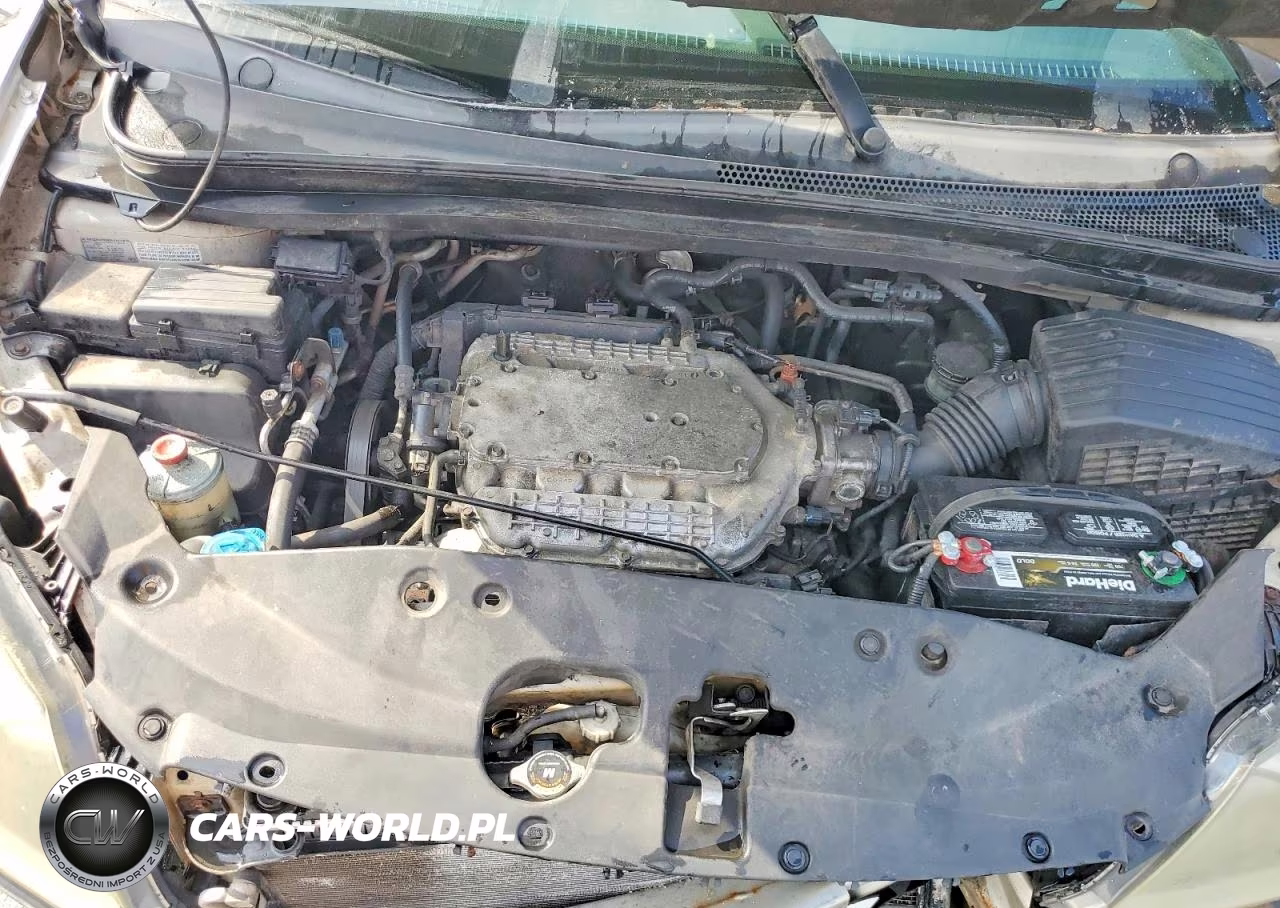 2005 Honda Odyssey Exl VIN:5FNRL387X5B098626 - 12