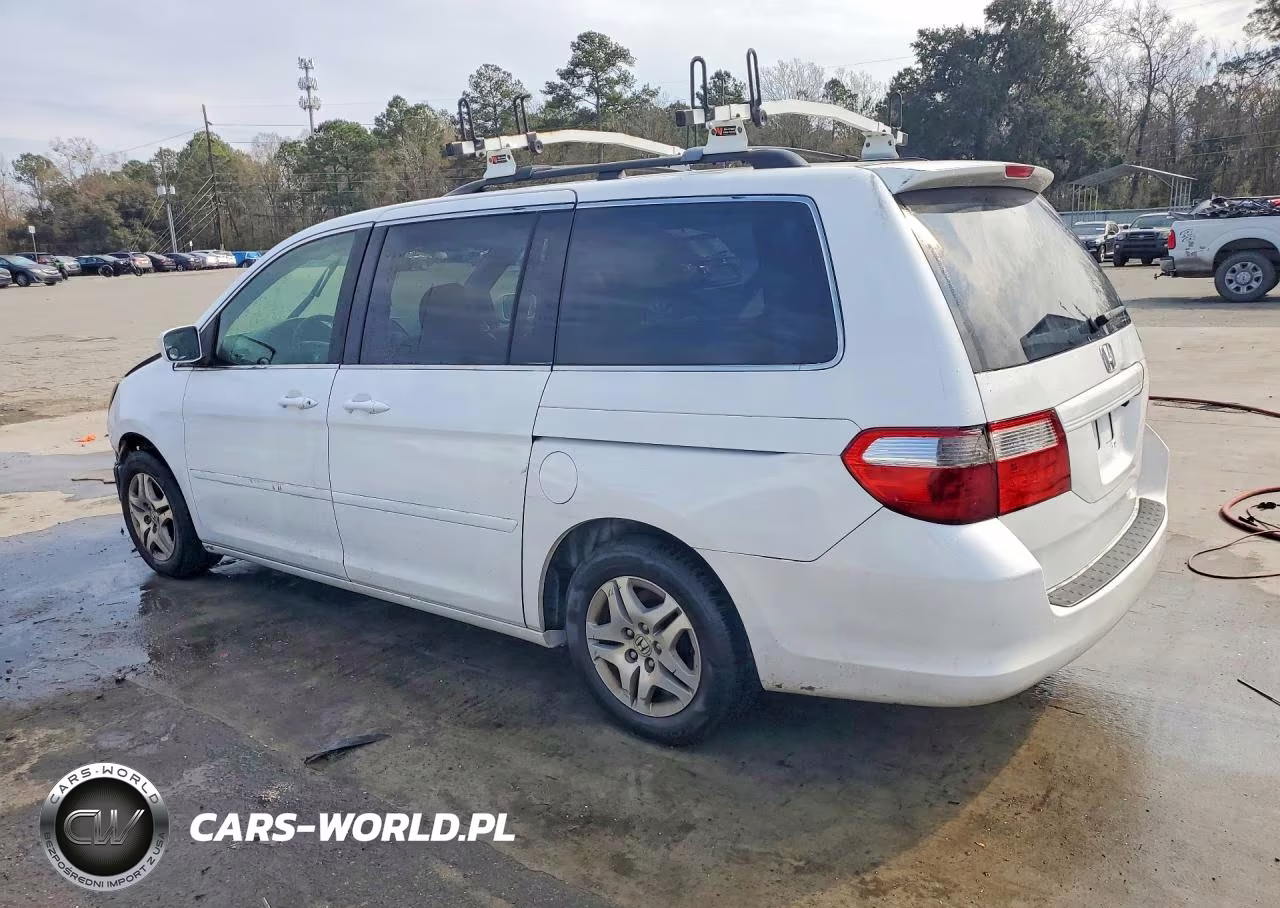 2005 Honda Odyssey Exl VIN:5FNRL387X5B098626 - 2