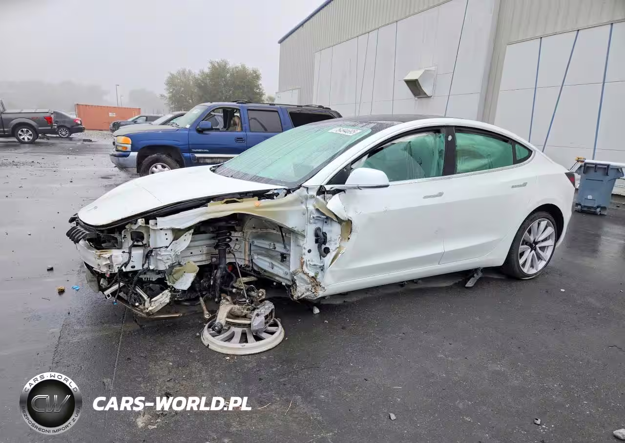 2019 Tesla Model 3