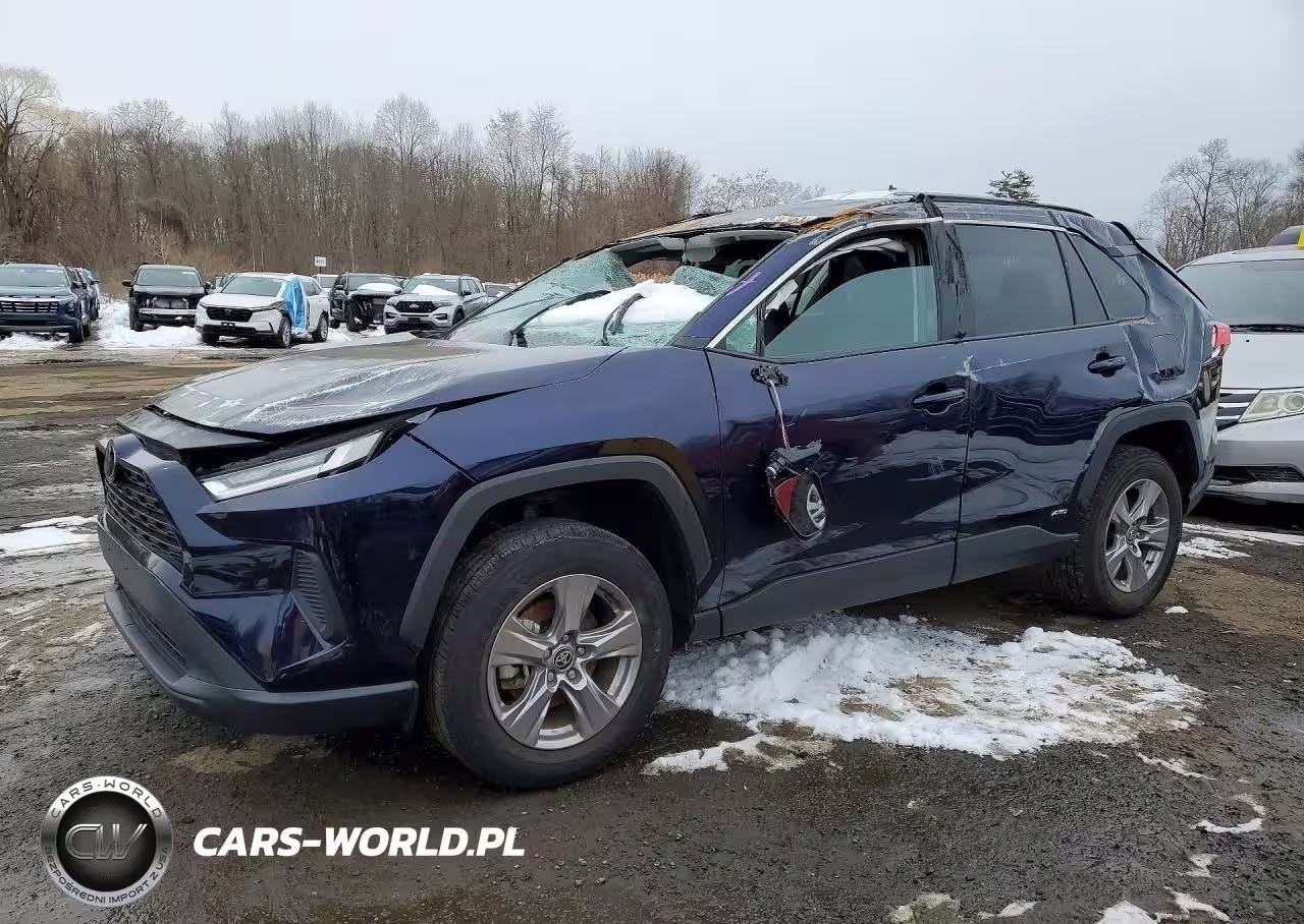 2025 Toyota Rav4 Xle