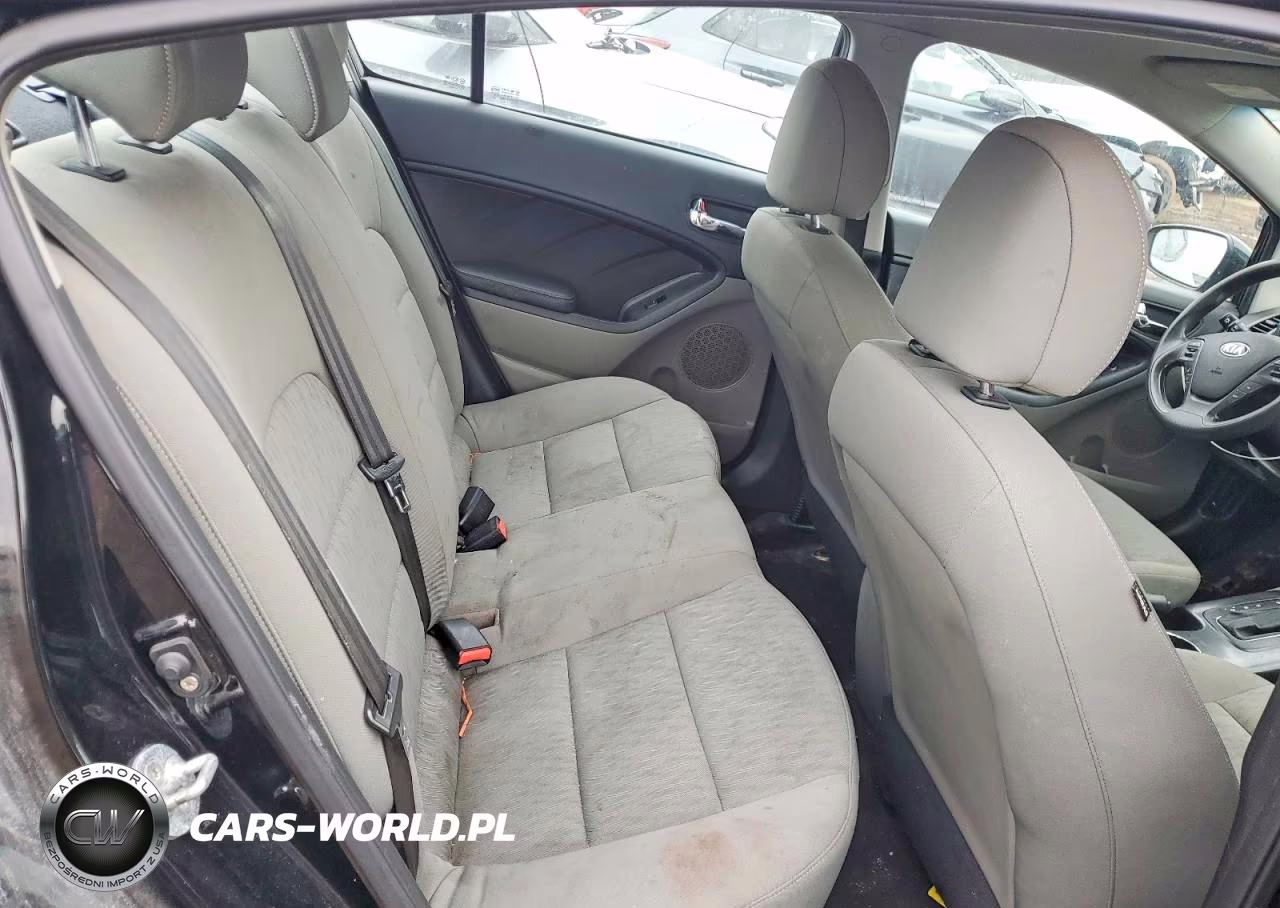 2016 Kia Forte Lx VIN:KNAFK4A64G5524213 - 10
