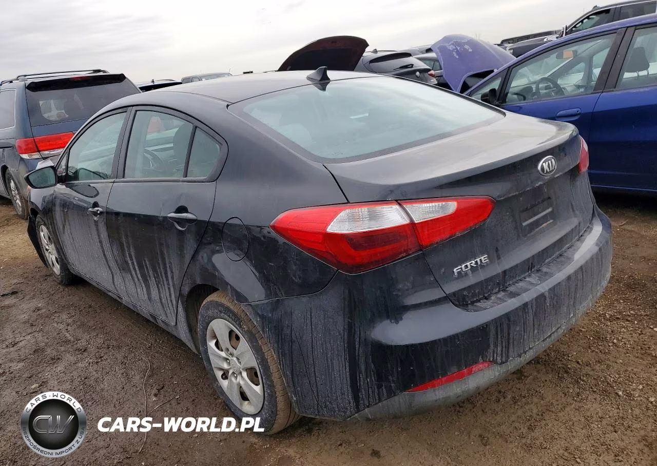 2016 Kia Forte Lx VIN:KNAFK4A64G5524213 - 2