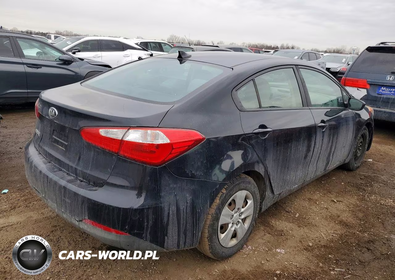 2016 Kia Forte Lx VIN:KNAFK4A64G5524213 - 3