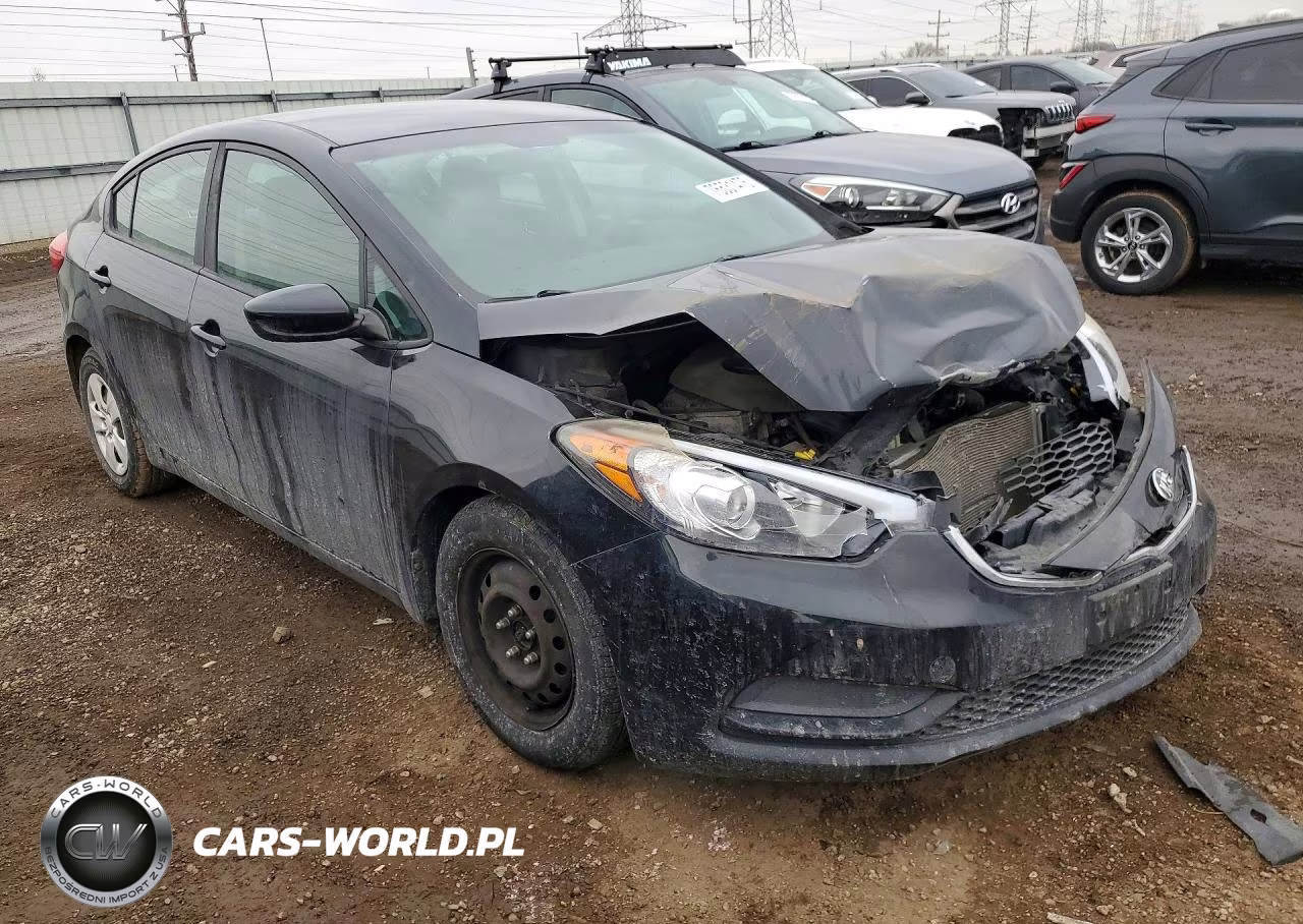 2016 Kia Forte Lx VIN:KNAFK4A64G5524213 - 4