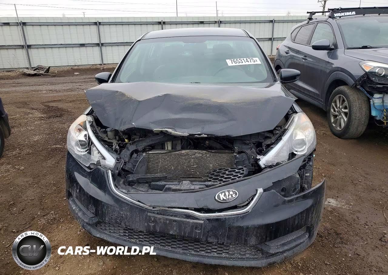 2016 Kia Forte Lx VIN:KNAFK4A64G5524213 - 5