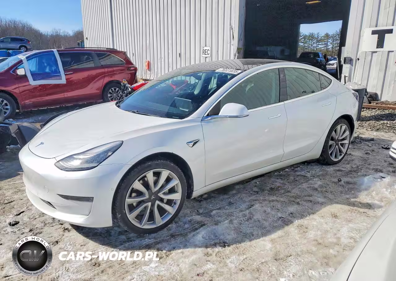 2019 Tesla Model 3