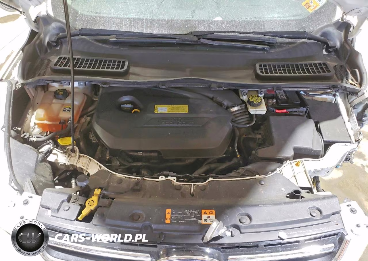 2013 Ford Escape Sel VIN:1FMCU0HXXDUC08500 - 12