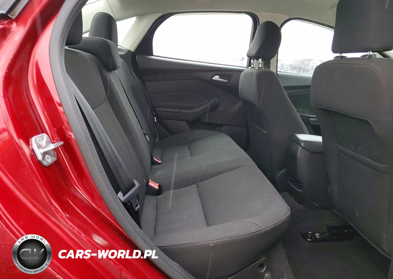 2016 Ford Focus Se VIN:1FADP3F23GL342824 - 10