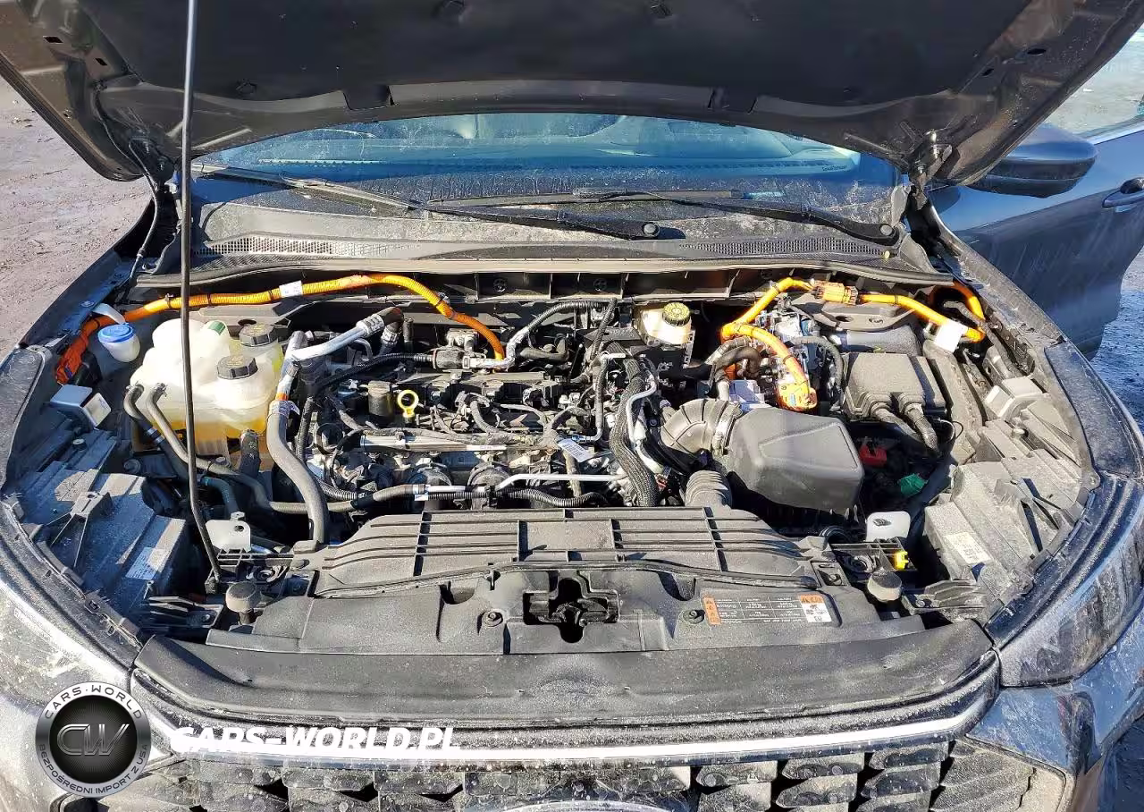 2025 Ford Escape VIN:1FMCU0E16SUA52792 - 12