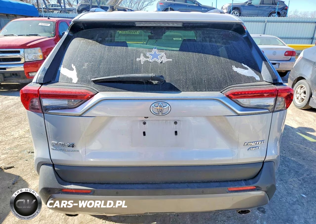 2019 Toyota Rav4 Limited VIN:JTMN1RFV4KD501057 - 6