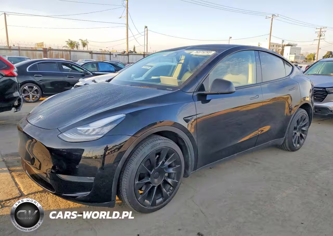 Główne zdjęcie 2020 Tesla Model Y Long Range Dual Motor All-Wheel Drive