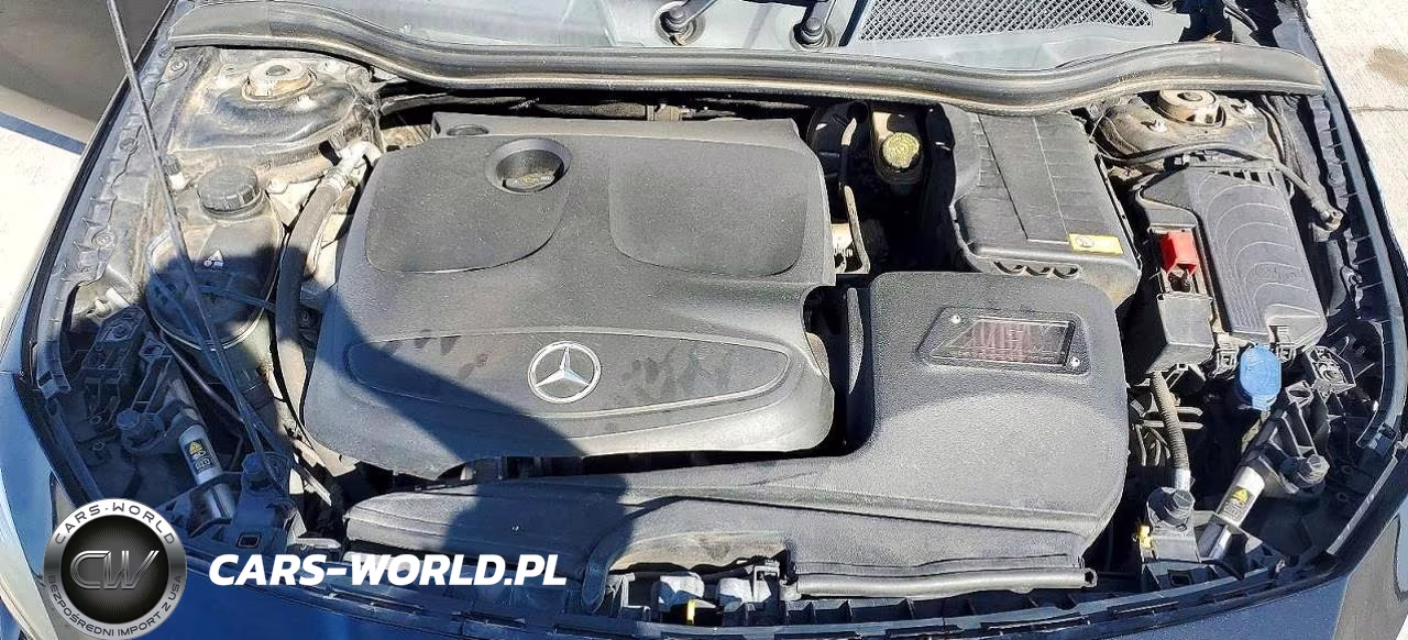 2014 Mercedes-Benz Cla 250 VIN:WDDSJ4EB7EN153708 - 11