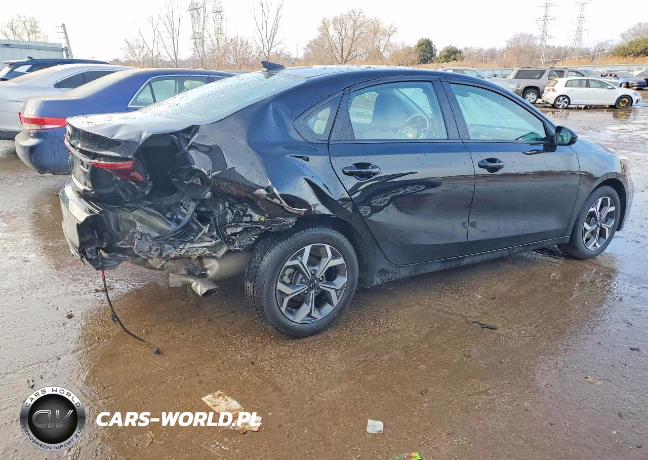 2020 Kia Forte Lxs VIN:3KPF24AD2LE174130 - 3