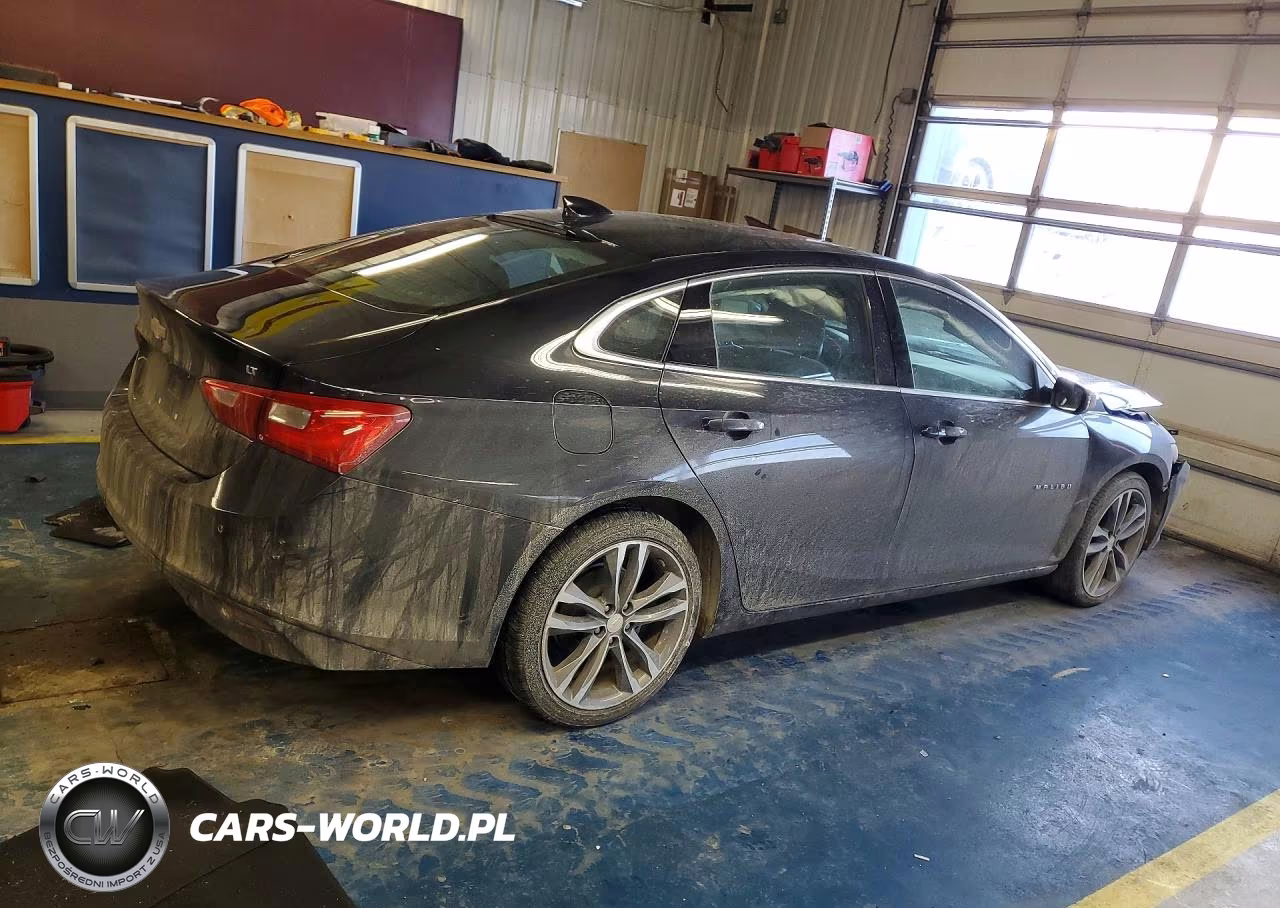 2023 Chevrolet Malibu Lt VIN:1G1ZD5ST1PF137612 - 3