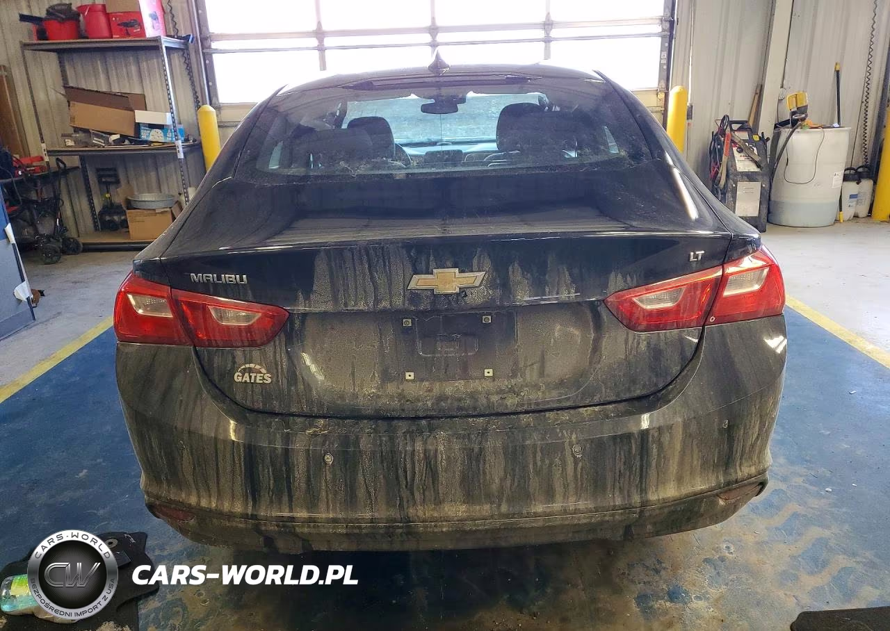 2023 Chevrolet Malibu Lt VIN:1G1ZD5ST1PF137612 - 6