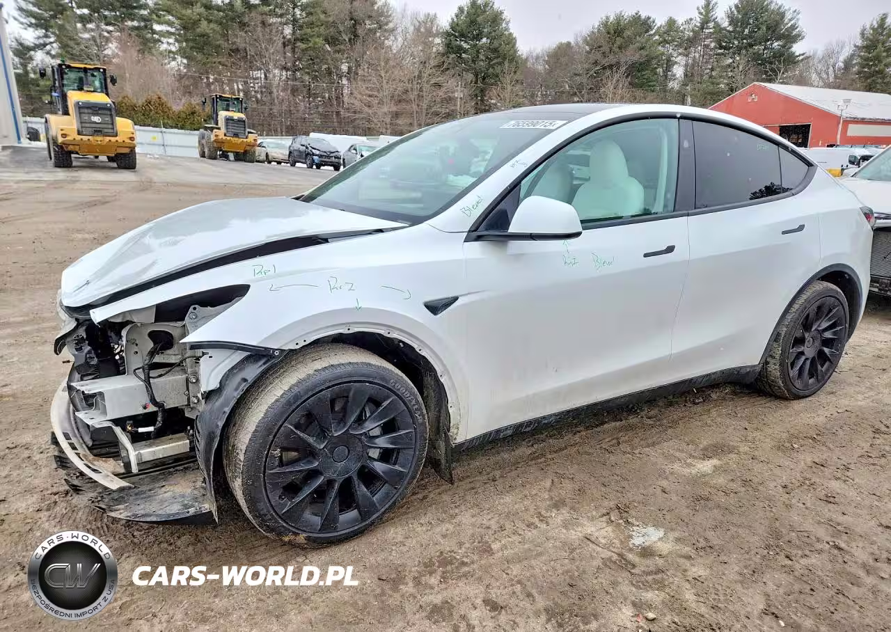 2025 Tesla Model Y