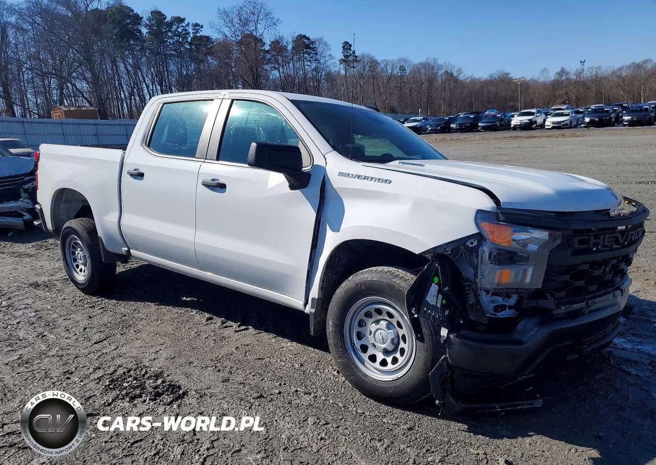 2026 Chevrolet Silverado C1500 VIN:1GCPAAEK4TZ141469 - 4