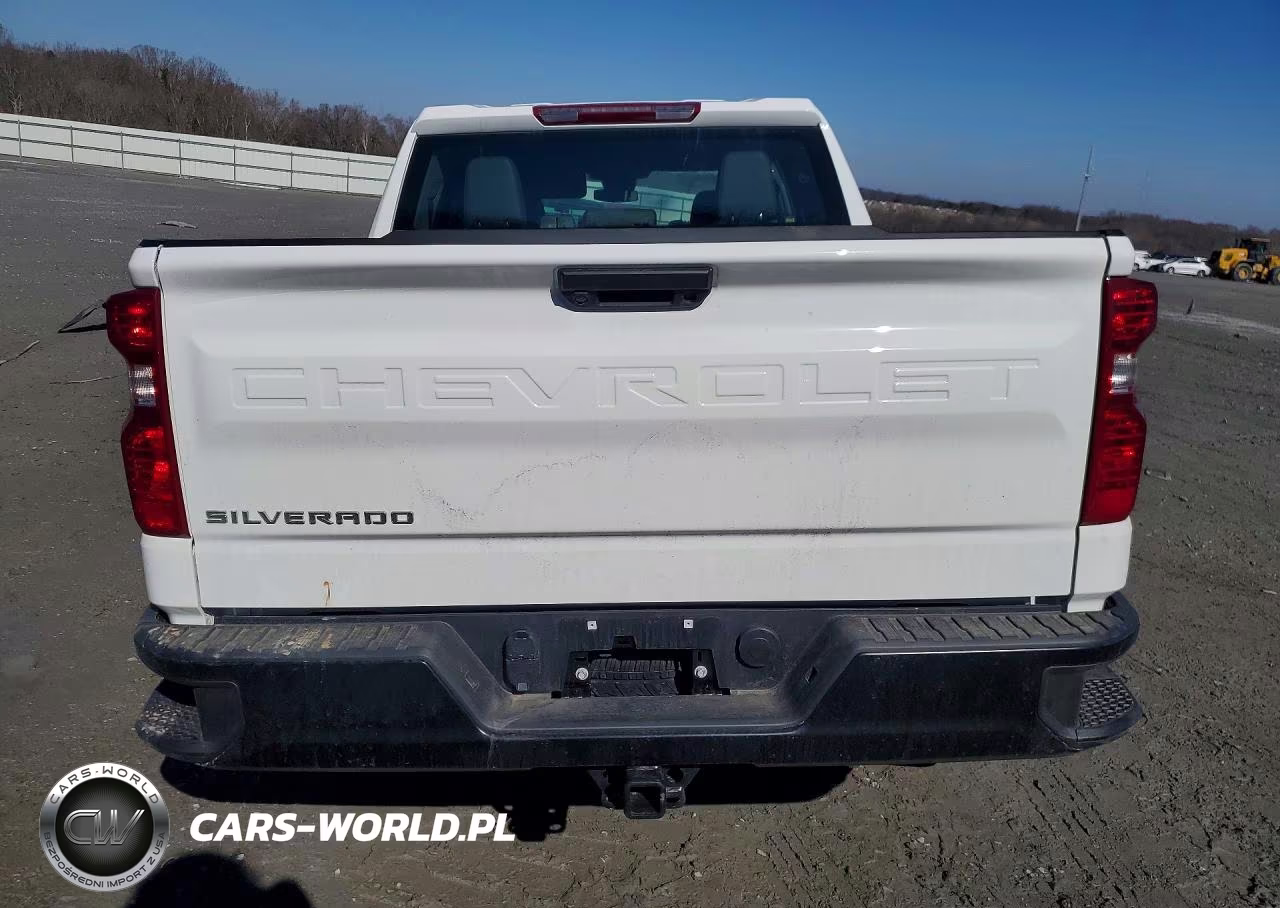2026 Chevrolet Silverado C1500 VIN:1GCPAAEK4TZ141469 - 6