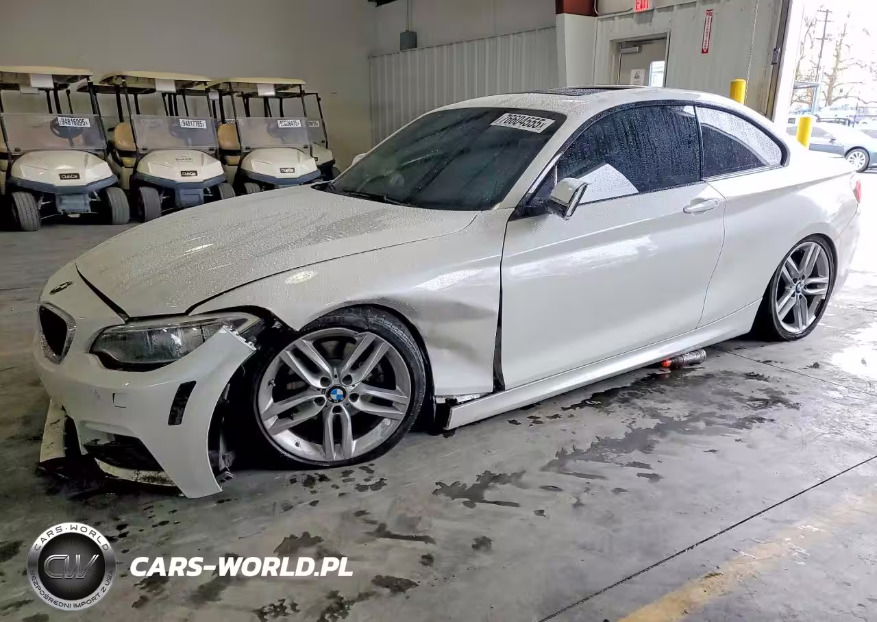 2016 BMW 228 I Sulev