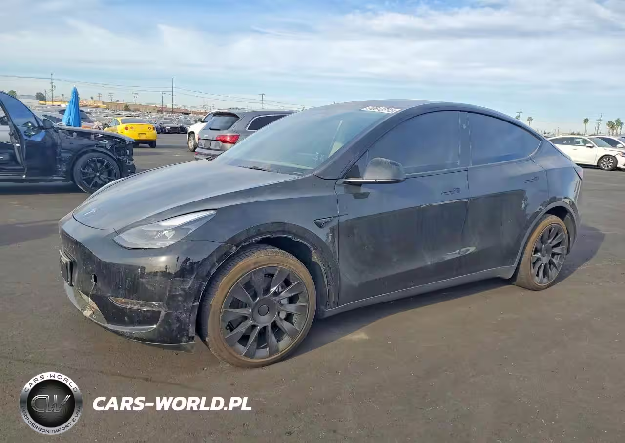 2025 Tesla Model Y