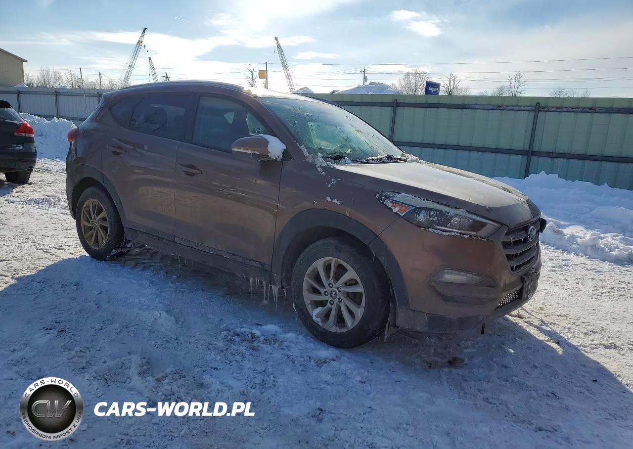 2016 Hyundai Tucson Limited VIN:KM8J3CA29GU117085 - 4