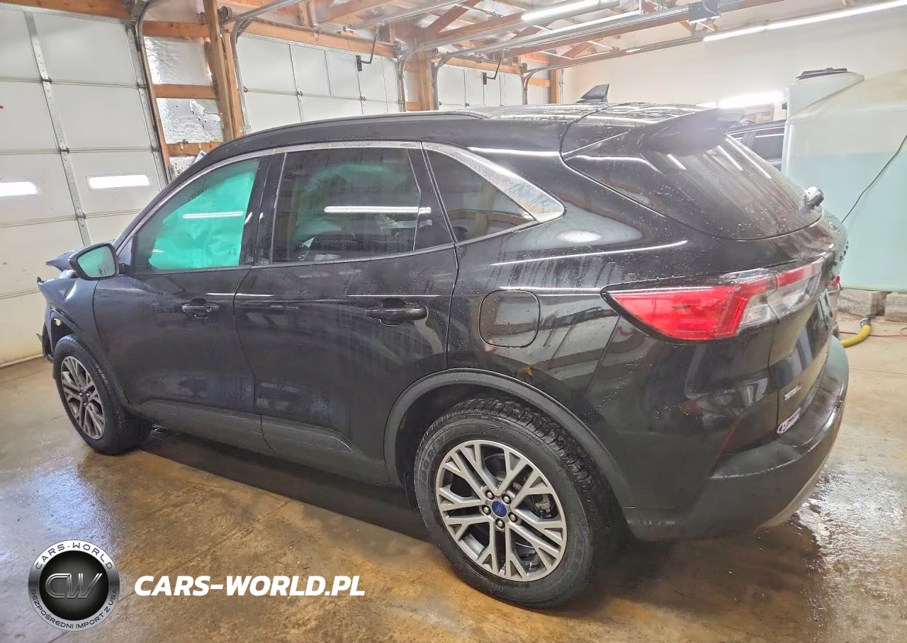2022 Ford Escape Sel VIN:1FMCU9H6XNUB35609 - 2