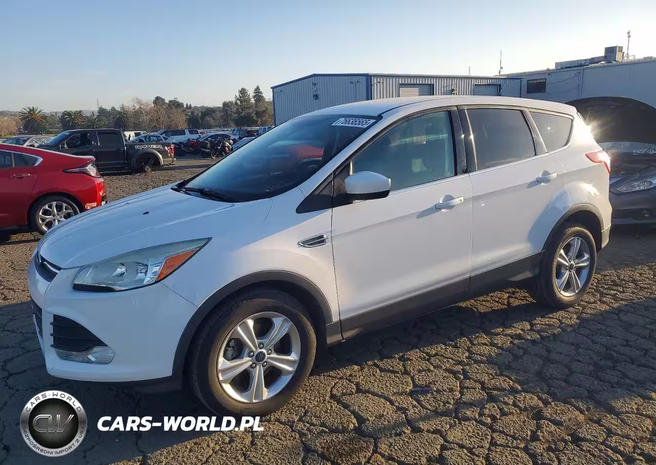 2014 Ford Escape Se