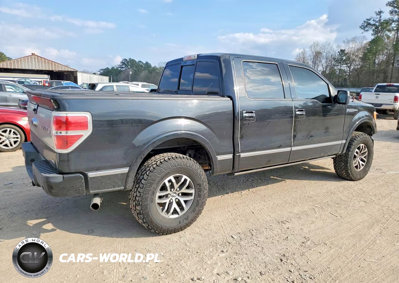2010 Ford F150 Supercrew VIN:1FTFW1CV8AFD32580 - 3