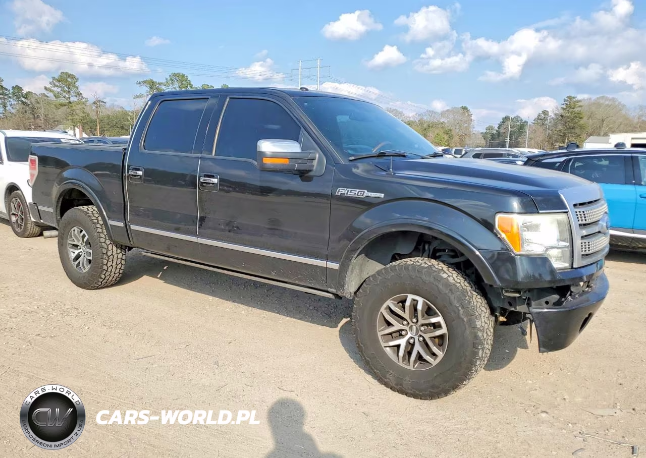 2010 Ford F150 Supercrew VIN:1FTFW1CV8AFD32580 - 4