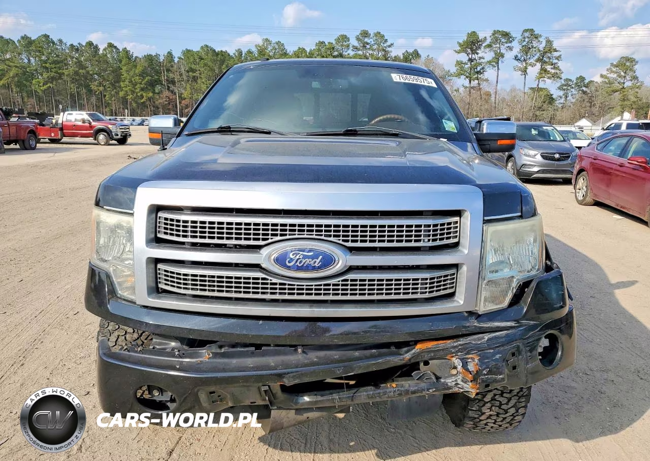 2010 Ford F150 Supercrew VIN:1FTFW1CV8AFD32580 - 5