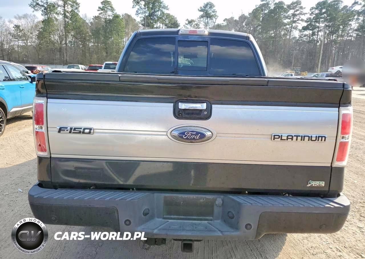 2010 Ford F150 Supercrew VIN:1FTFW1CV8AFD32580 - 6