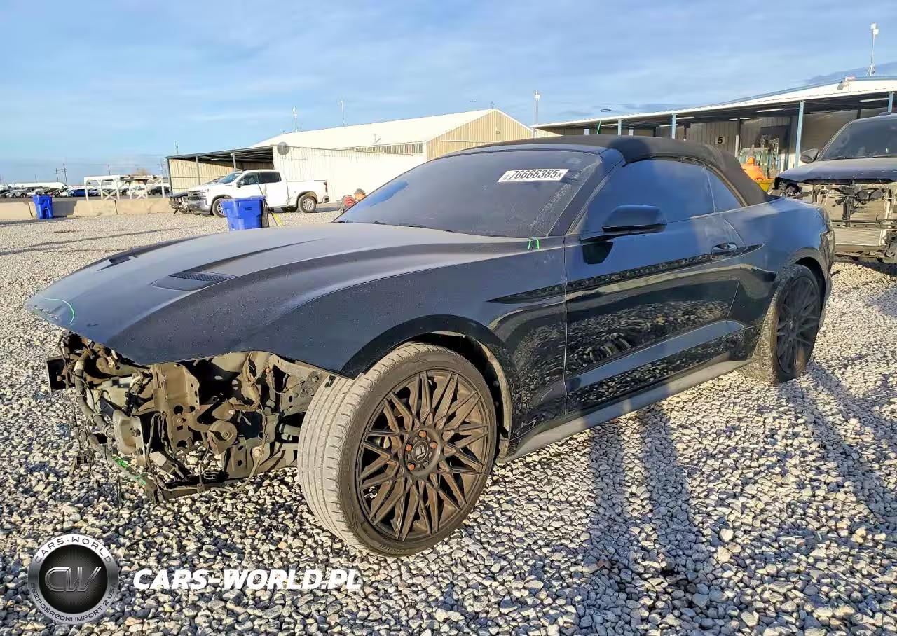 2019 Ford Mustang