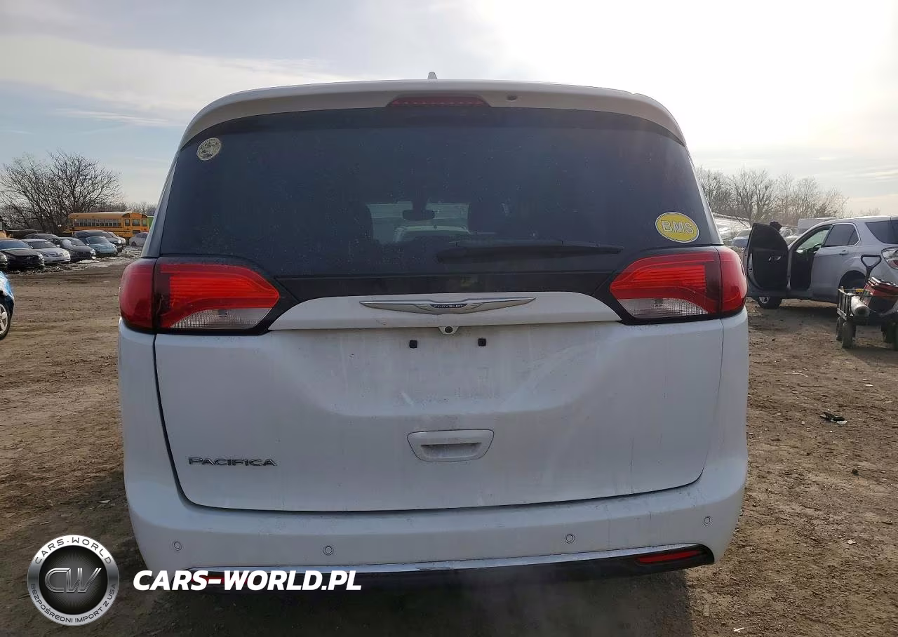 2020 Chrysler Pacifica Touring L VIN:2C4RC1BG3LR142979 - 6