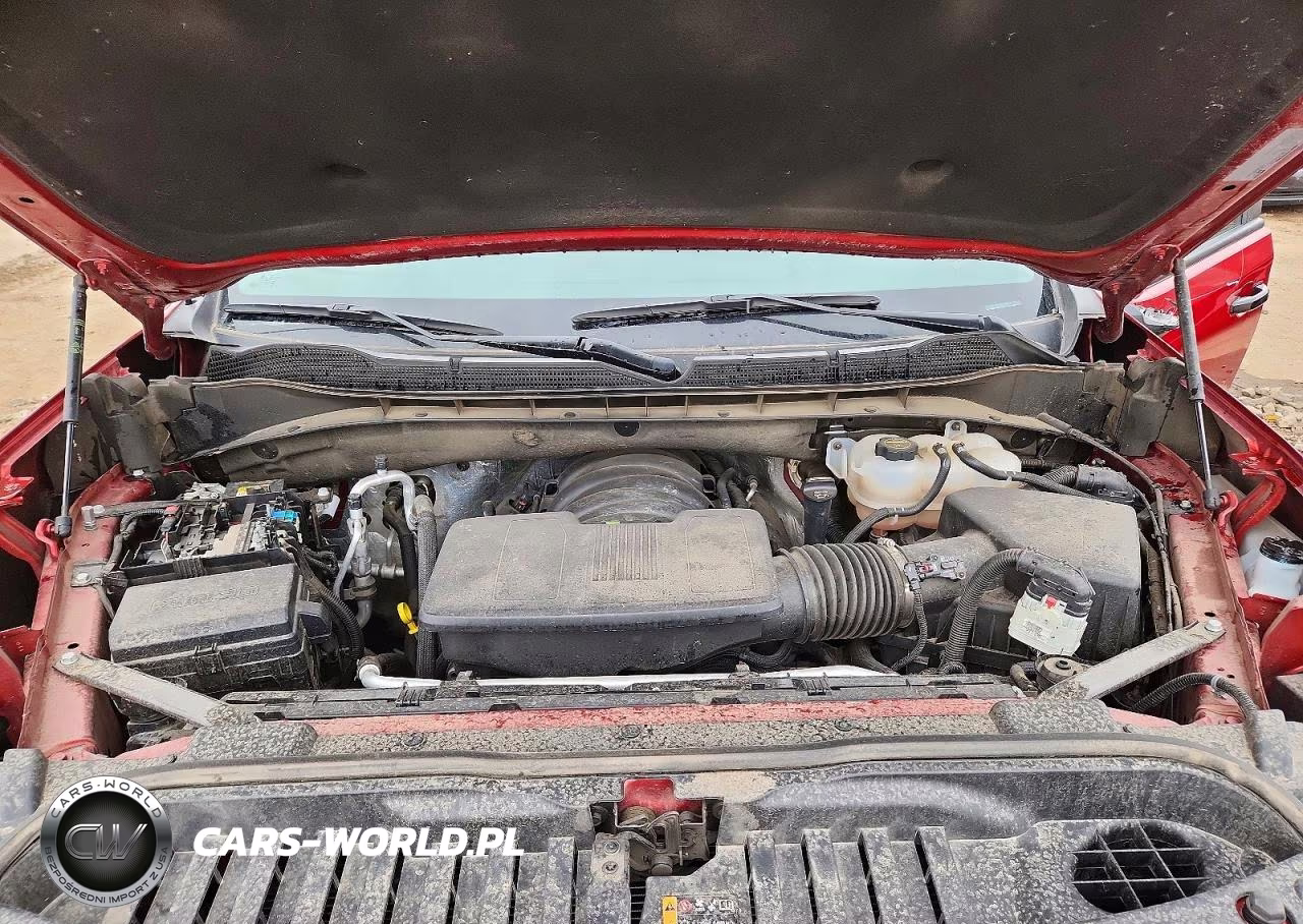 2024 Chevrolet Silverado K1500 Lt Trail Boss VIN:3GCUDFED3RG364510 - 11