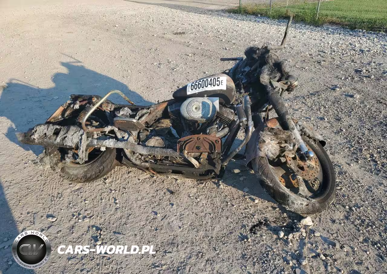 2004 Harley-Davidson Flhrci