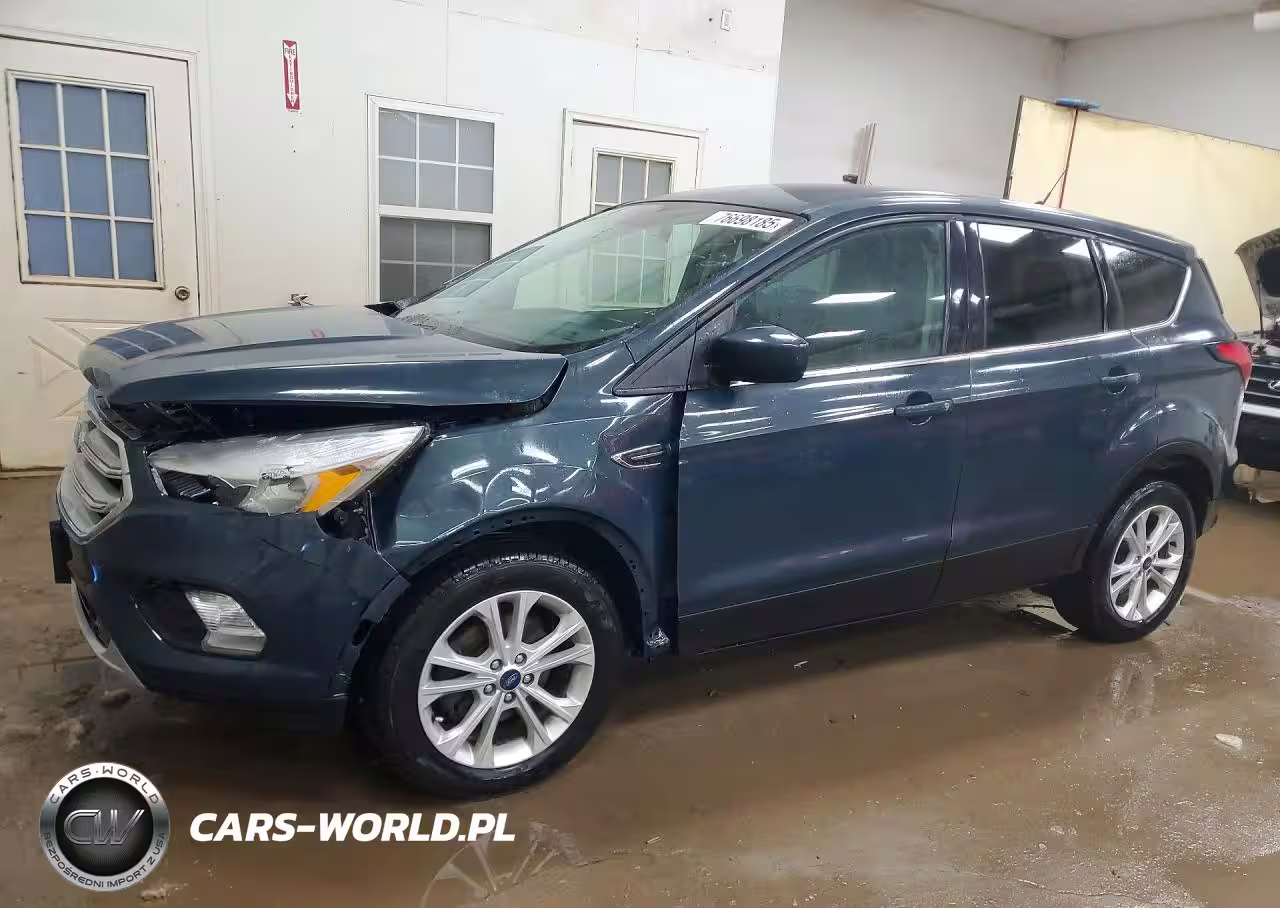 2019 Ford Escape Se
