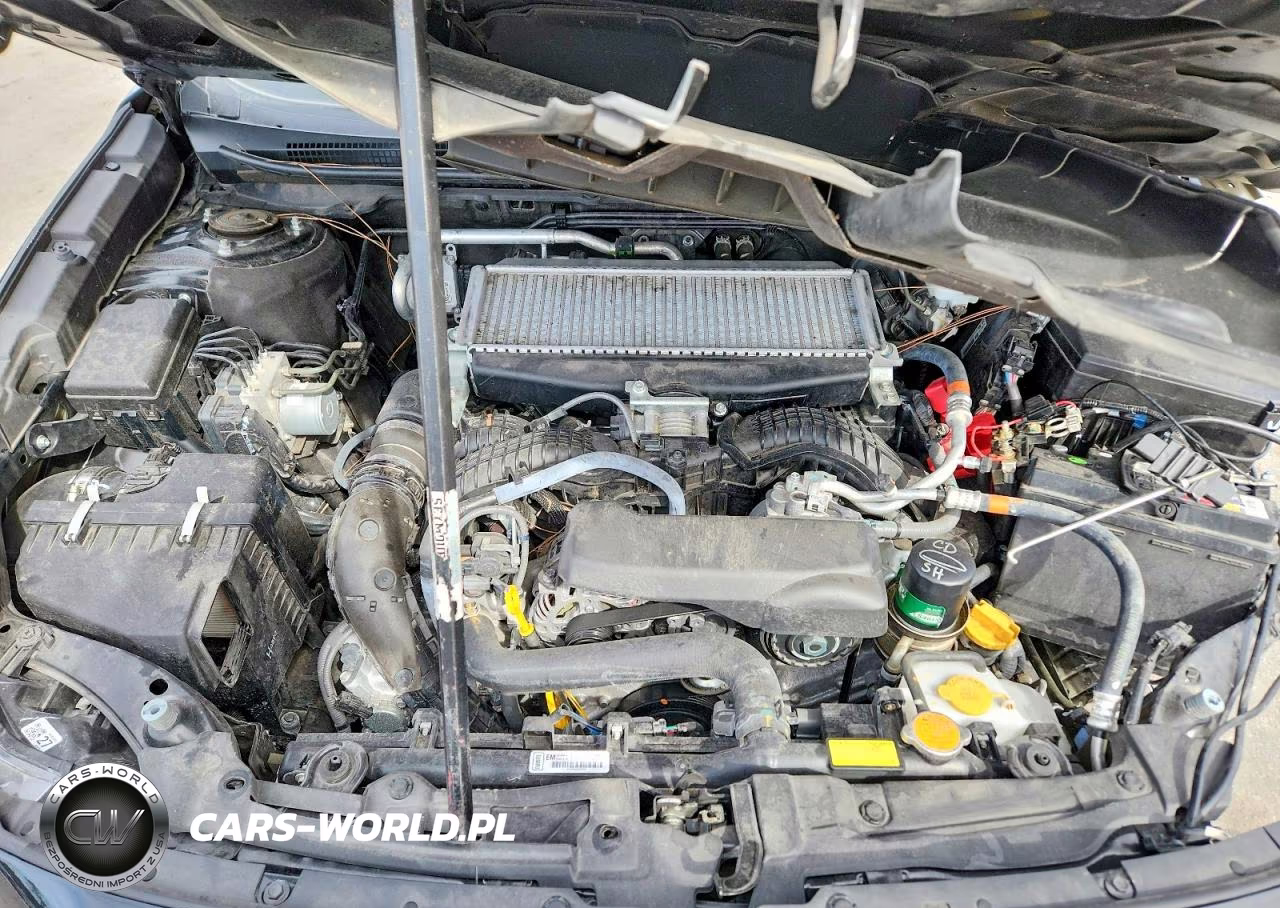 2024 Subaru Outback Wilderness VIN:4S4BTGSD4R3292932 - 12